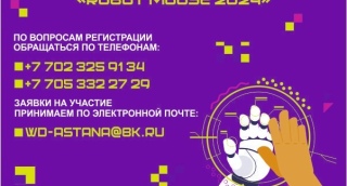 Информация для потенциальных участников финальных соревнований в категории  «Robot Mouse».